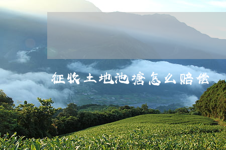 征收土地池塘怎么赔偿