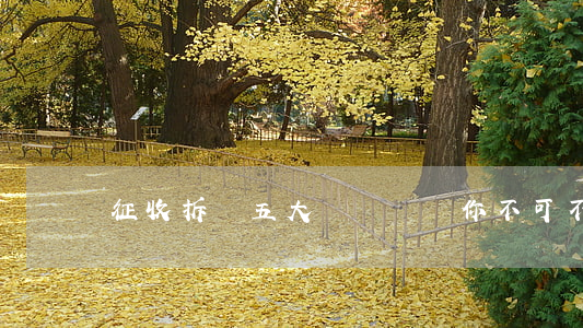 征收拆遷五大熱點問題，你不可不知！