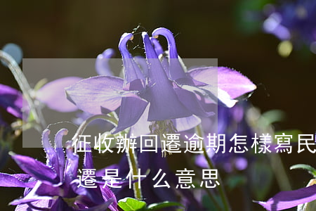 征收辦回遷逾期怎樣寫民事訴訟狀-征收回遷是什么意思