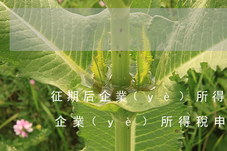 征期后企業(yè)所得稅逾期補申報表-企業(yè)所得稅申報逾期如何辦理補申報