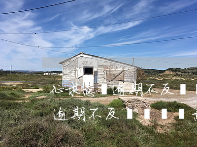 征求意見逾期不反饋視為無意見-征求意見逾期不反饋視為無意見怎么辦