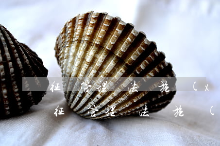 征稅管理辦法實施細(xì)則申報逾期-征稅管理辦法實施細(xì)則申報逾期怎么辦
