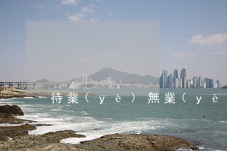 待業(yè)無業(yè)黨費收取標準