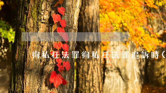 徇私枉法罪(徇私枉法罪追訴時(shí)效)