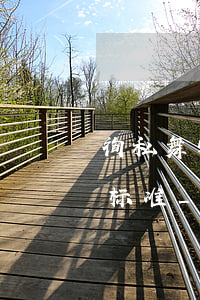 徇私舞弊减刑、假释、暂予监外执行罪立案标准_2021徇私舞弊减刑、假释、暂予监外执行罪量刑标准和认定
