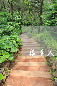 很多人信用卡逾期（溫州人信用卡逾期多嗎）