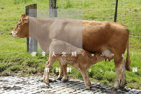 很多人欠網(wǎng)貸不還沒(méi)有針對(duì)辦法嗎-很多人欠網(wǎng)貸不還沒(méi)有針對(duì)辦法嗎怎么辦