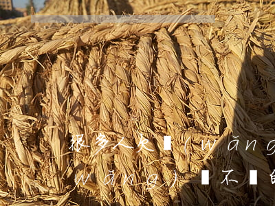 很多人欠網(wǎng)貸故意不還(欠網(wǎng)貸不還的人)
