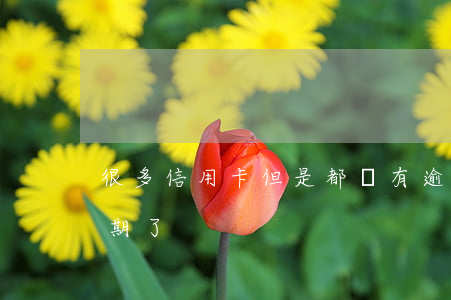 很多信用卡但是都沒有逾期(沒注意信用卡逾期了)