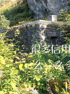 很多信用卡逾期后會(huì)怎么樣(為什么這么多人信用卡逾期)