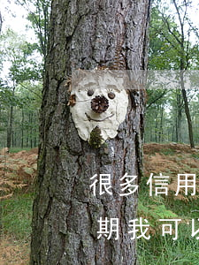 很多信用卡逾期會被起訴嗎(朋友用信用卡逾期,我可以起訴嗎)