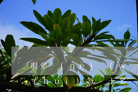 很多個(gè)網(wǎng)貸逾期了會(huì)怎樣(十多個(gè)網(wǎng)貸全部逾期)
