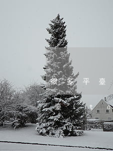 很多平臺(tái)借不了怎么辦-很多平臺(tái)都借不了款怎么辦