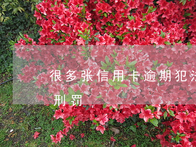 很多张信用卡逾期犯法么（信用卡逾期多少有刑罚）
