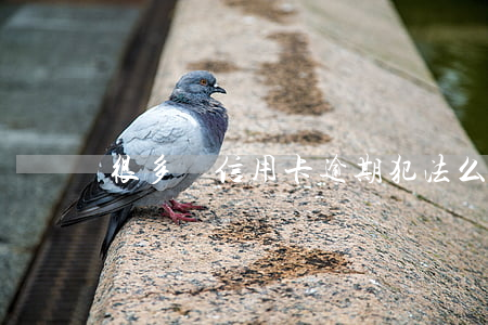 很多張信用卡逾期犯法么（信用卡逾期7張）