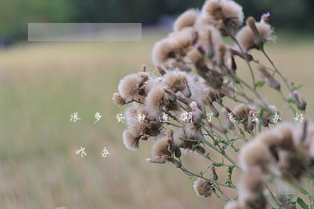 很多贷款逾期了怎么办(好几个贷款都逾期了咋办)