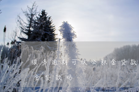很多逾期可以公积金贷款(逾期了还能用公积金贷款吗)