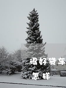 很好贷车贷逾期会被起诉吗(车贷逾期起诉会怎样)