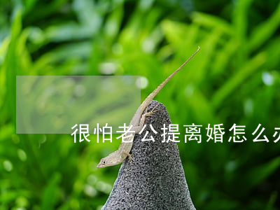 很怕老公提离婚怎么办