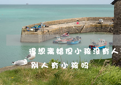 很想离婚但小孩没有人带(我没离婚了,可以跟别人有小孩吗)