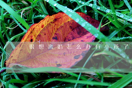 很想离婚怎么办(有小孩了我很想离婚怎么办)