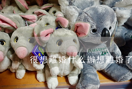 很想離婚什么辦(想離婚了該怎么辦)