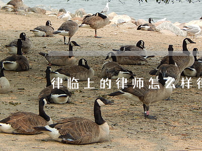 律临上的律师怎么样(律师好做不)
