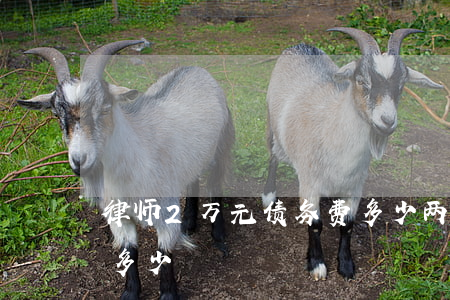 律师2万元债务费多少 两万块钱债务律师费多少