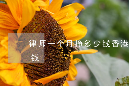 律师一个月挣多少钱(香港律师一个月挣多少钱)