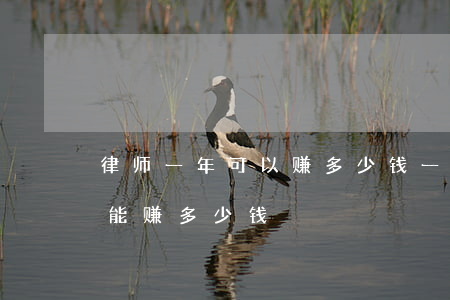 律师一年可以赚多少钱(一个律师事务所一年能赚多少钱)