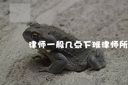 律师一般几点下班(律师所几点下班)
