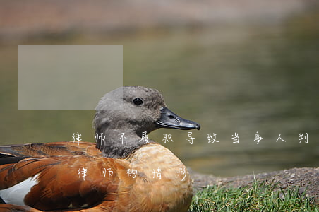 律师不履职导致当事人判刑怎么办(不能从事律师的情形)