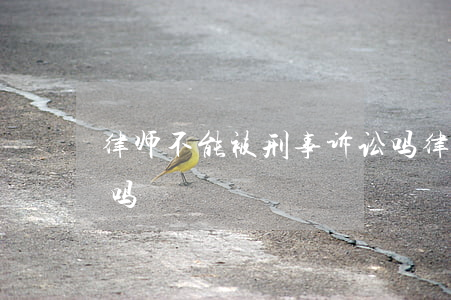 律师不能被刑事诉讼吗(律师不能被刑事诉讼吗)