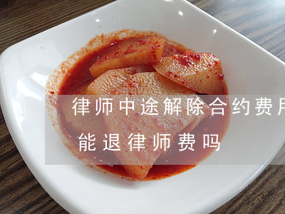 律师中途解除合约费用退吗(跟律师签了合同能退律师费吗)