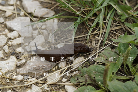 律师事务所一般几点上下班(律师事务所几点上班下班)
