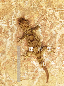 律师事务所一般用什么号码(律师事务所打电话用私人号码?)