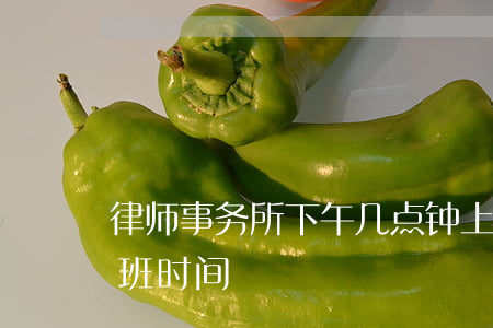 律师事务所下午几点钟上班(律师下午几点上班时间)