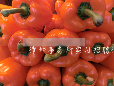 律师事务所实习招聘(律师事务所招聘公告)