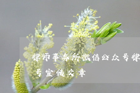 律师事务所微信公众号(律师事务所微信公众号宣传文章)