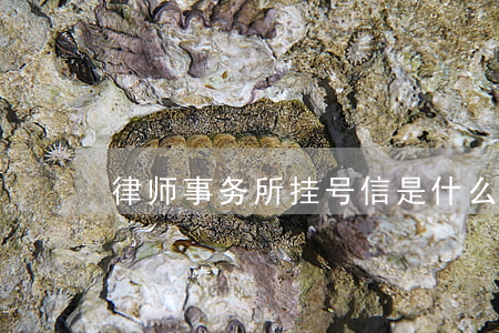 律师事务所挂号信是什么