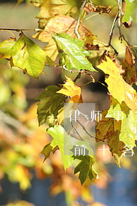 律师事务所排名前十名(河南律师事务所排名前十名) 律师事务所排名前十名(河南律师事务所排名前十名)