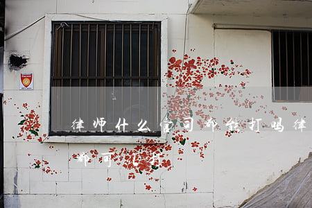 律师什么官司都能打吗(律师是不是什么官司都可以打)