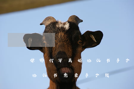 律师代写离婚协议书多少钱(找律师代写离婚协议书需要多少钱)