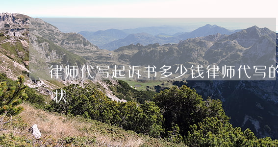 律师代写起诉书多少钱(律师代写的民事起诉状)