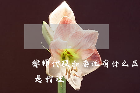 律师代理和委托有什么区别(请律师是委托还是代理)