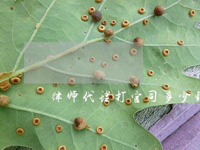 律师代理打官司多少钱