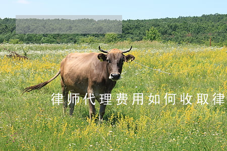 律师代理费用如何收取，律师代理费怎样收取