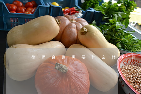律师会见需要什么材料(律师会见需要的材料)