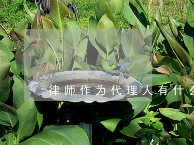 律师作为代理人有什么特征