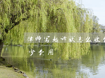 律师写起诉状怎么收费(请律师写诉状大概多少费用)